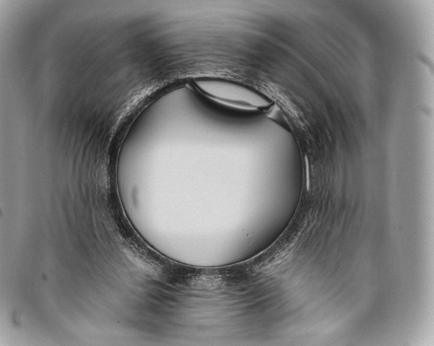 X0000096140252200802081354