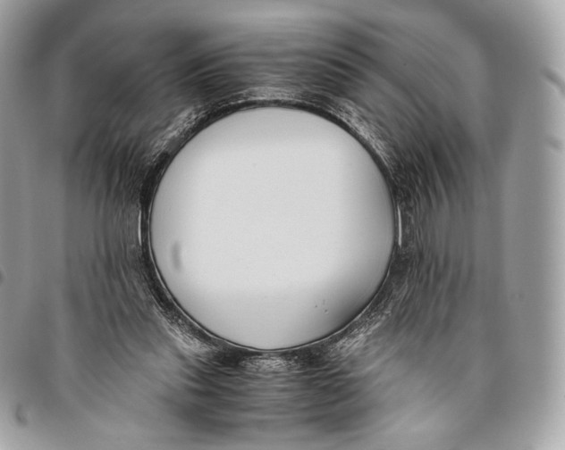 X0000096140253200802081354
