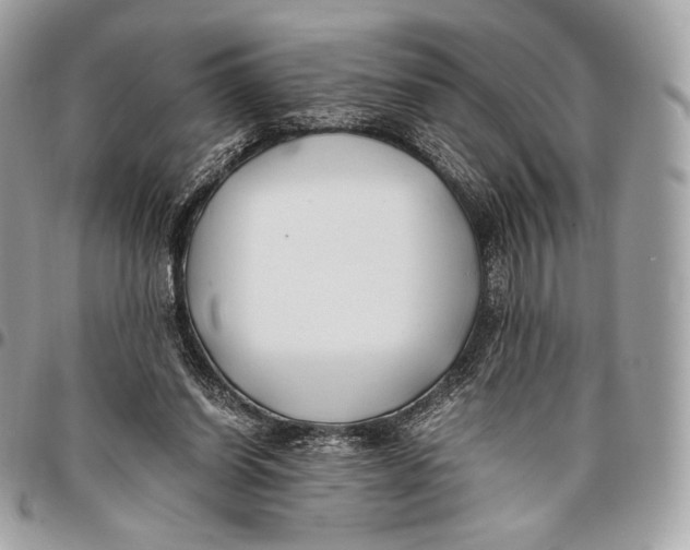 X0000096140254200802081354