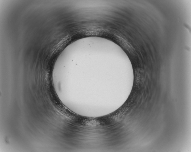 X0000096140258200802081354