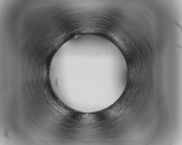 X0000096140261200802081355