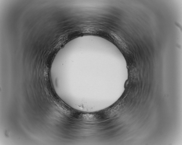 X0000096140265200802081355