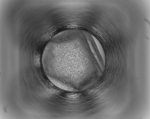 X0000096140267200802081355