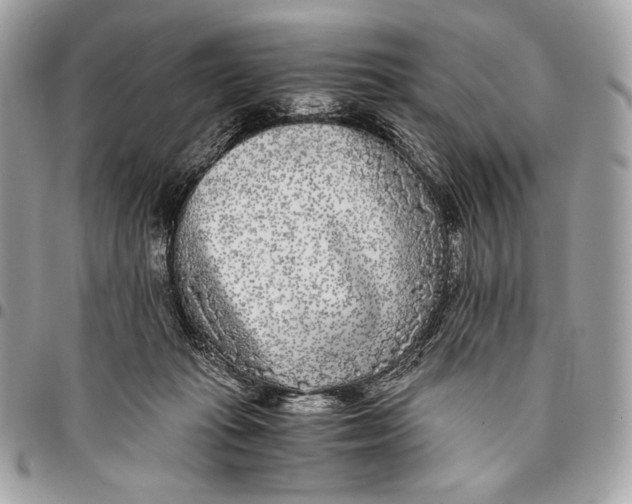X0000096140269200802081355