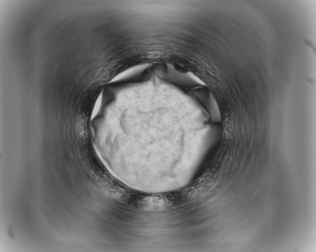 X0000096140272200802081355