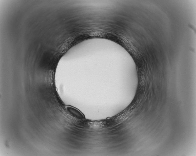 X0000096140273200802081355