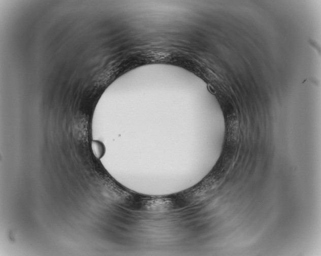 X0000096140274200802081355