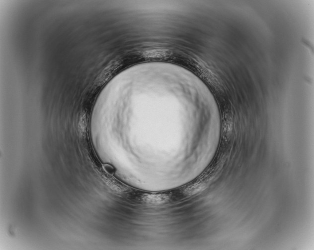 X0000096140277200802081355