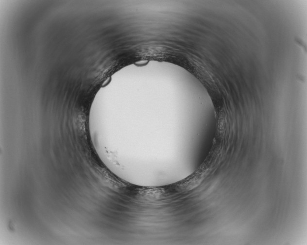 X0000096140282200802081355