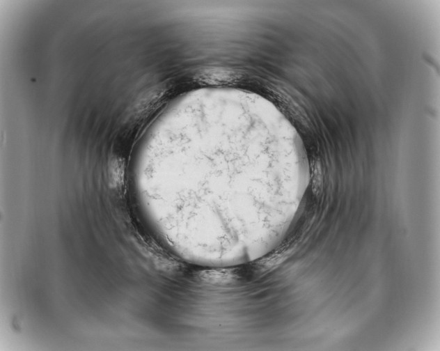 X0000096140284200802081355