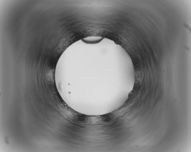 X0000096140286200802081355