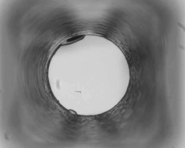 X0000096140289200802081354