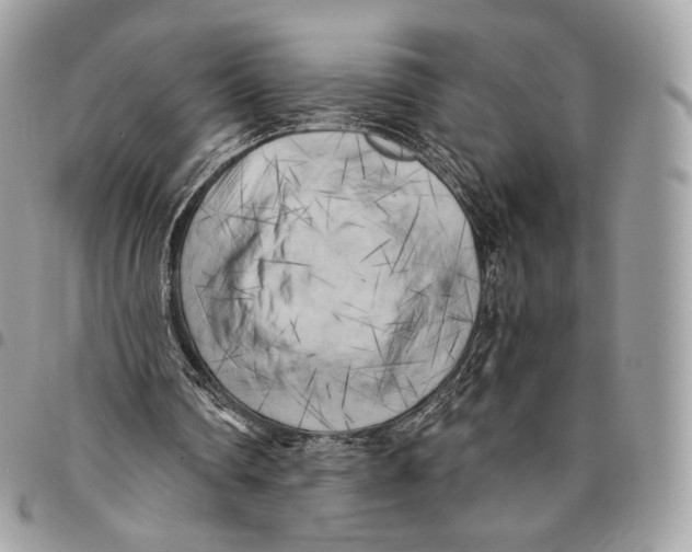 X0000096140290200802081354