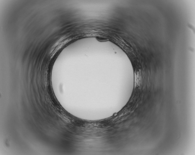 X0000096140291200802081354