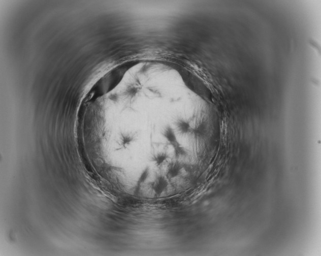 X0000096140292200802081354