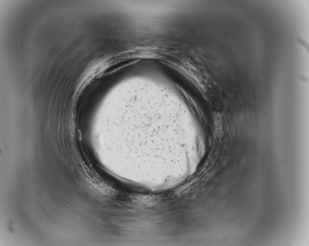 X0000096140293200802081354