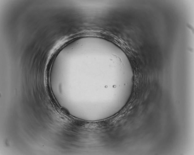 X0000096140294200802081354
