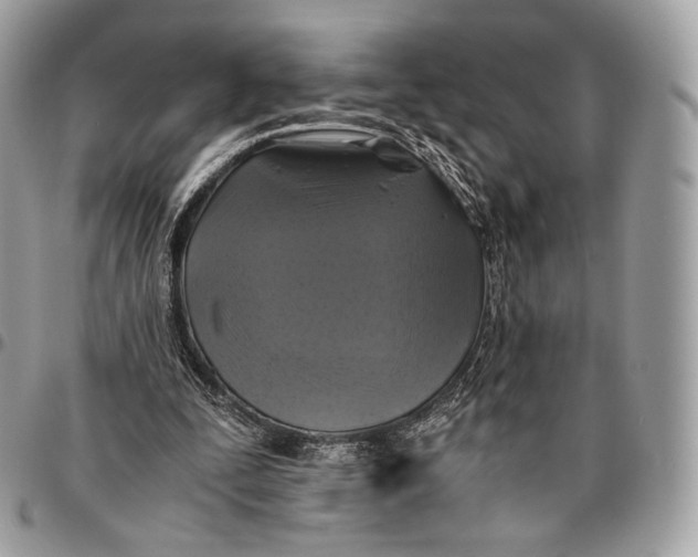 X0000096140295200802081354