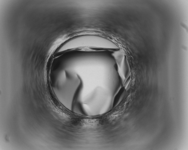 X0000096140296200802081354