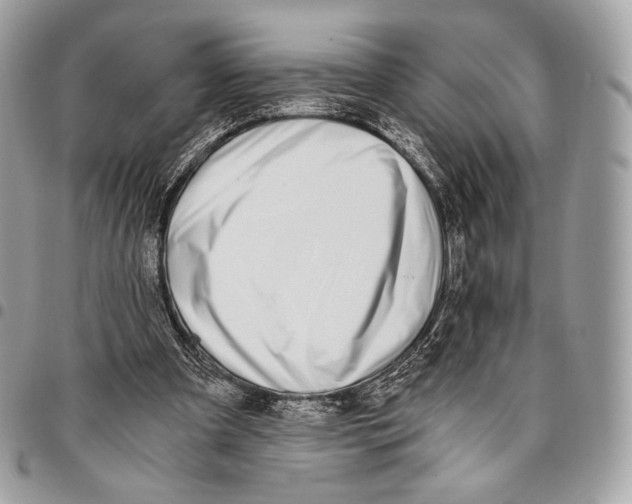 X0000096140297200802081354