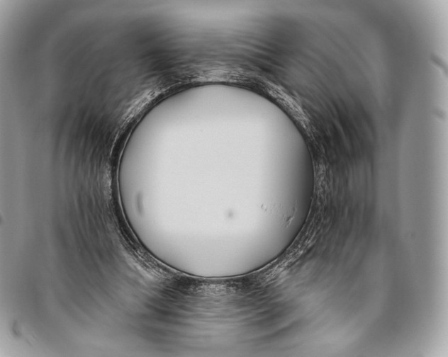 X0000096140298200802081354