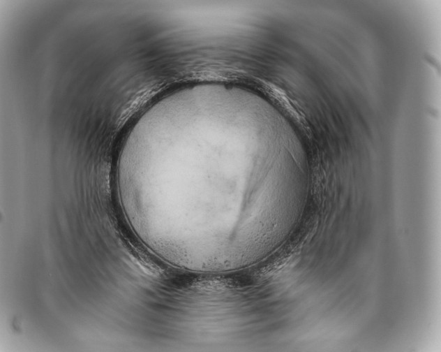 X0000096140299200802081354