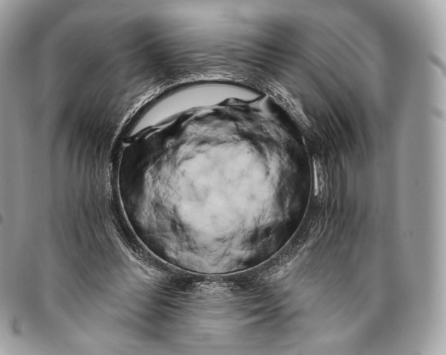 X0000096140300200802081354