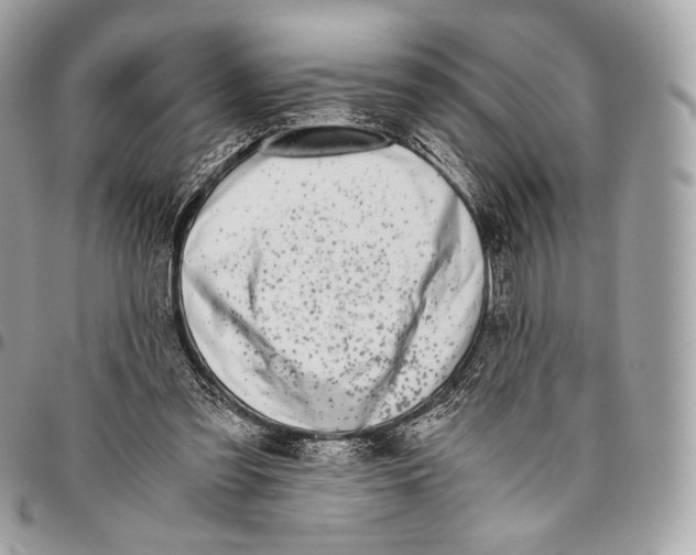 X0000096140301200802081354