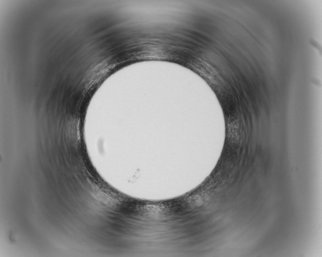 X0000096140302200802081354