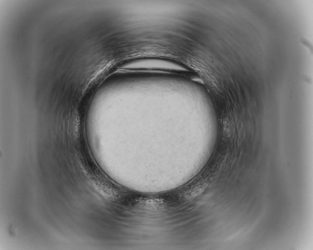 X0000096140304200802081354
