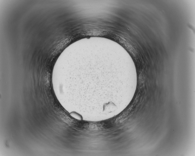 X0000096140305200802081354