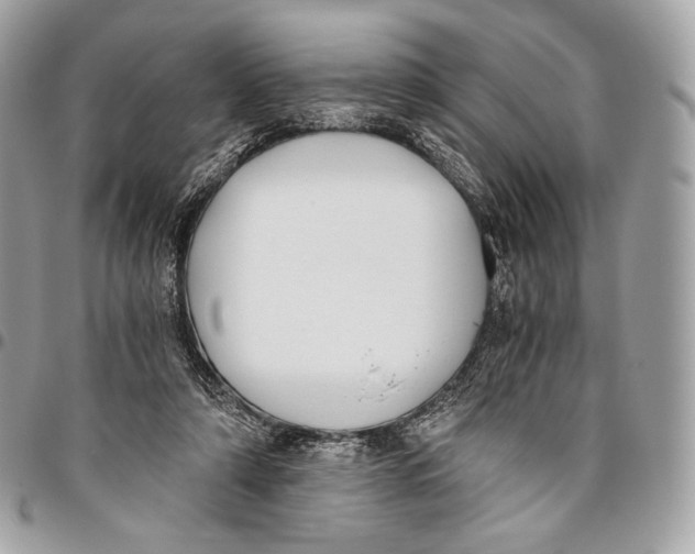 X0000096140306200802081354
