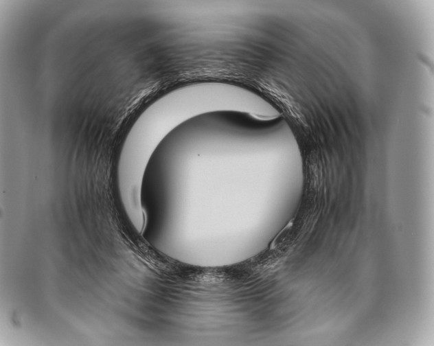 X0000096140308200802081354