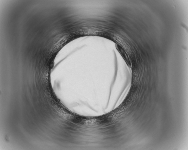 X0000096140309200802081354