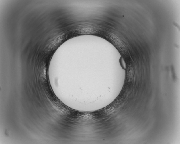 X0000096140310200802081354