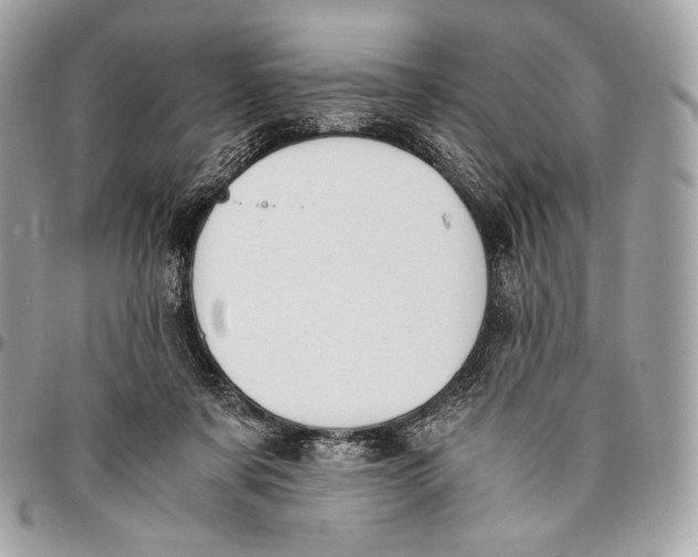 X0000096140311200802081354