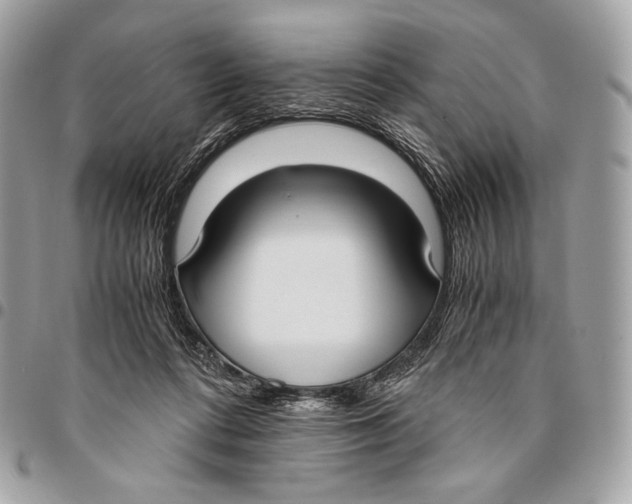 X0000096140312200802081354