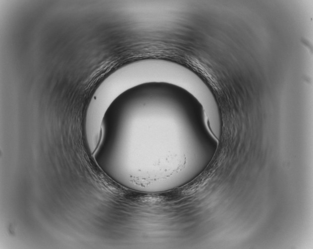 X0000096140313200802081354