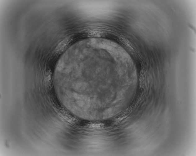 X0000096140314200802081354