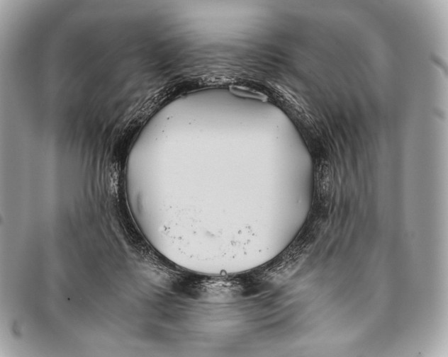 X0000096140315200802081354