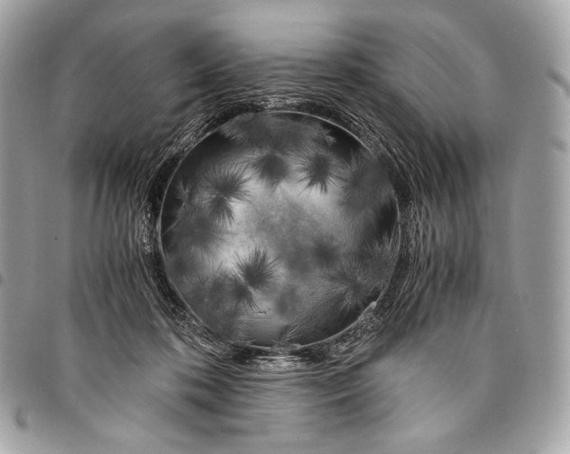 X0000096140316200802081354