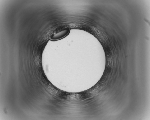 X0000096140317200802081354