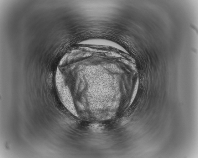 X0000096140319200802081354