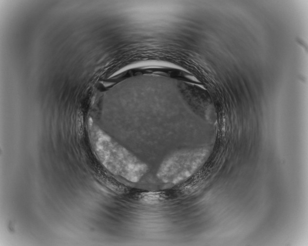 X0000096140320200802081354