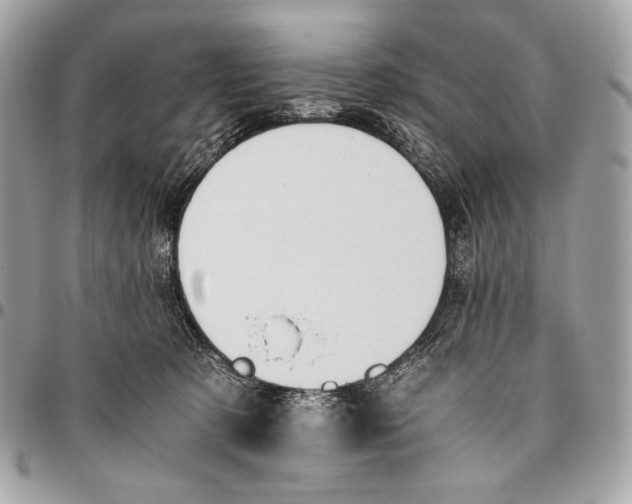 X0000096140321200802081354