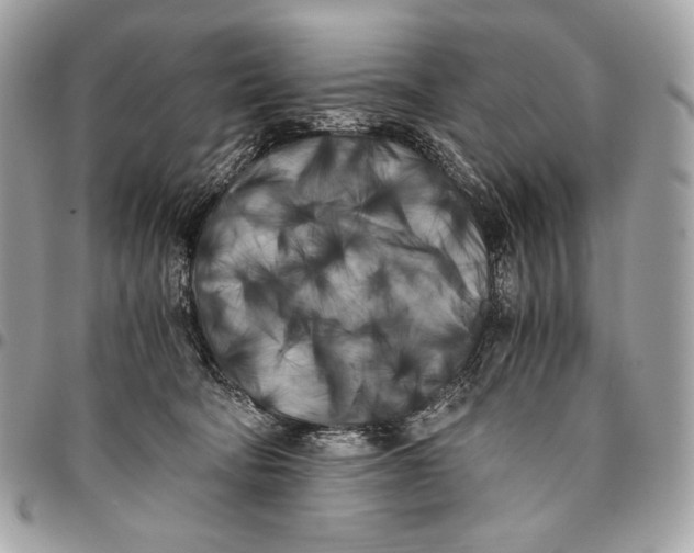 X0000096140322200802081354