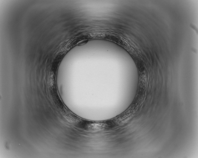 X0000096140323200802081354