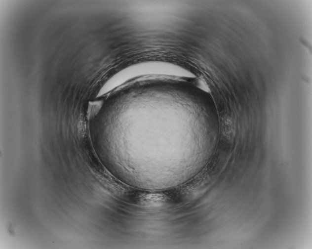 X0000096140324200802081354