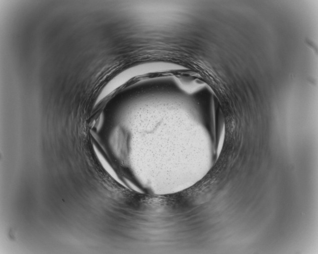 X0000096140325200802081354