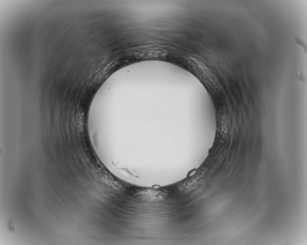 X0000096140326200802081354